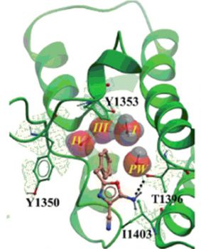 Sussex molecule bound to PHIP(2)