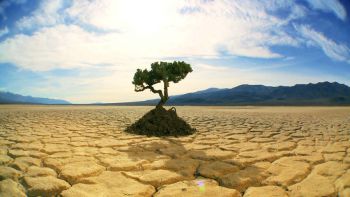 climate change