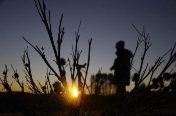 International Dawn Chorus Day