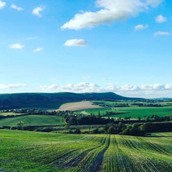 South Downs