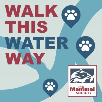 Walk this water way