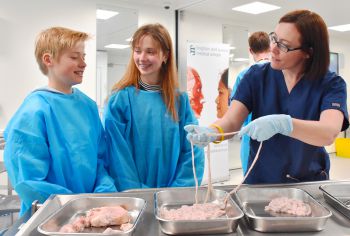 BSMS dissection event