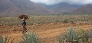 Climate change and the SDGs