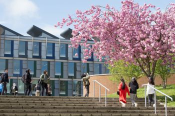 University of Sussex Business School