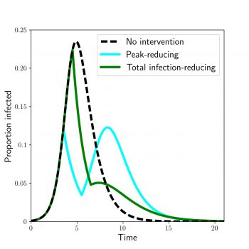 Mathematical modelling of intervention timings by Prof Istvan Kiss and colleagues