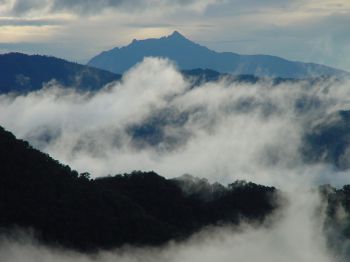 Los Cedros Biological Reserve