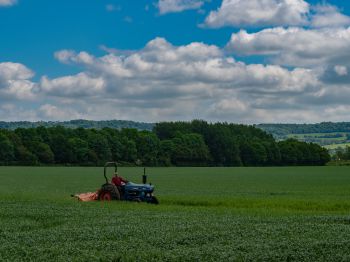 Arable farming