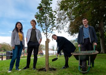 Tree planting