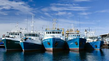 Fishing boats