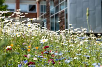 Sustainable Sussex