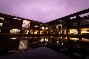 Christmas lights on campus