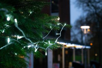 Christmas lights on campus