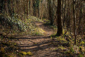 Image from the boundary walk route