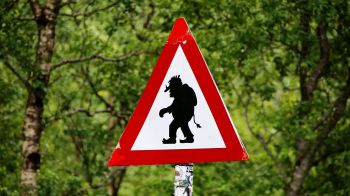 Beware of the trolls