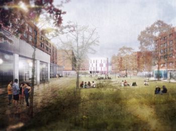 University of Sussex