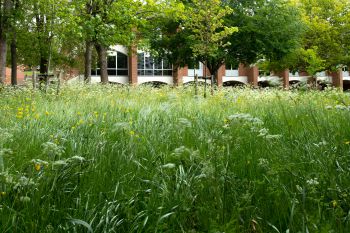 Biodiversity campus