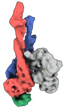 Smc5/6 complex