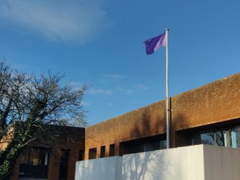 Disability flag