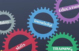 Organisational Development cogs graphic