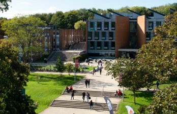 Sussex Campus
