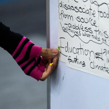 Voting for Education