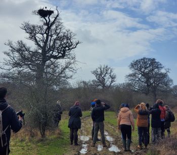 Students admiring white storks at Knepp