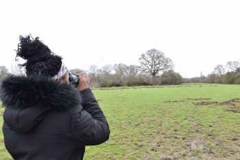 White-tailed eagle spotted!