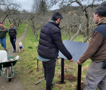 Community garden volunteers