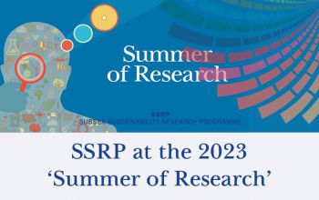 SSRP at the Summer of Research 2023