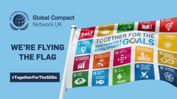 United Nations SDG flag - hero banner