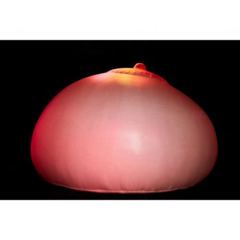 Goodbye Breasts