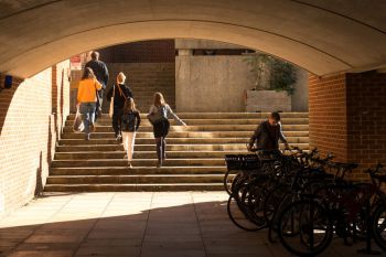 Staff and students walking up steps on campus