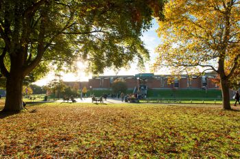 University of Sussex