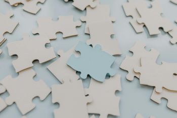 Jigsaw pieces