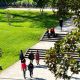 Photograph of students walking on University campus