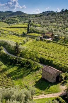 Catalonia is building a vison for a resilient landscape