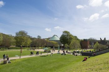 University of Sussex campus