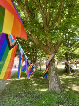Pride at Sussex