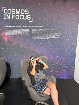 Cosmos In Focus