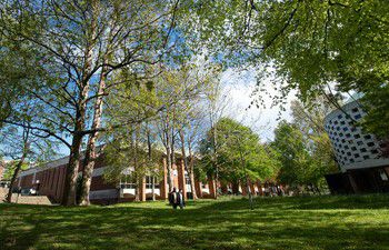 Tree lined walk on University of Sussex campus