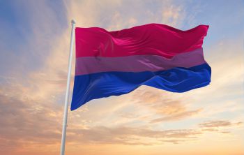 Bi flag