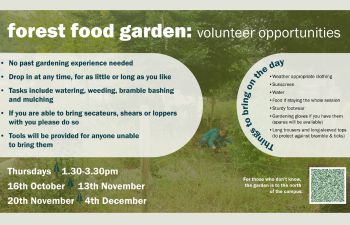 FFG session flyer