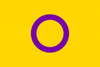 Intersex Pride flag