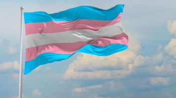 Trans flag