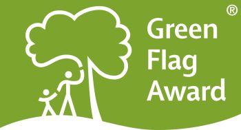 Green Flag logo