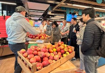 Free apples