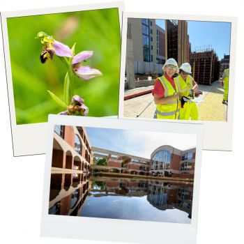 Three polaroids, one showing a photo of an orchid, one showing two people in protective gear on a construction site, and another showing the Falmer House moat.