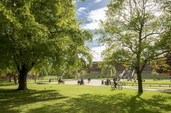 A view across Library Square at the University of Sussex