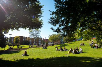 A photo of the University of Sussex campus showing green outdoor spaces