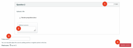 A view of the Canvas Quiz marking interface